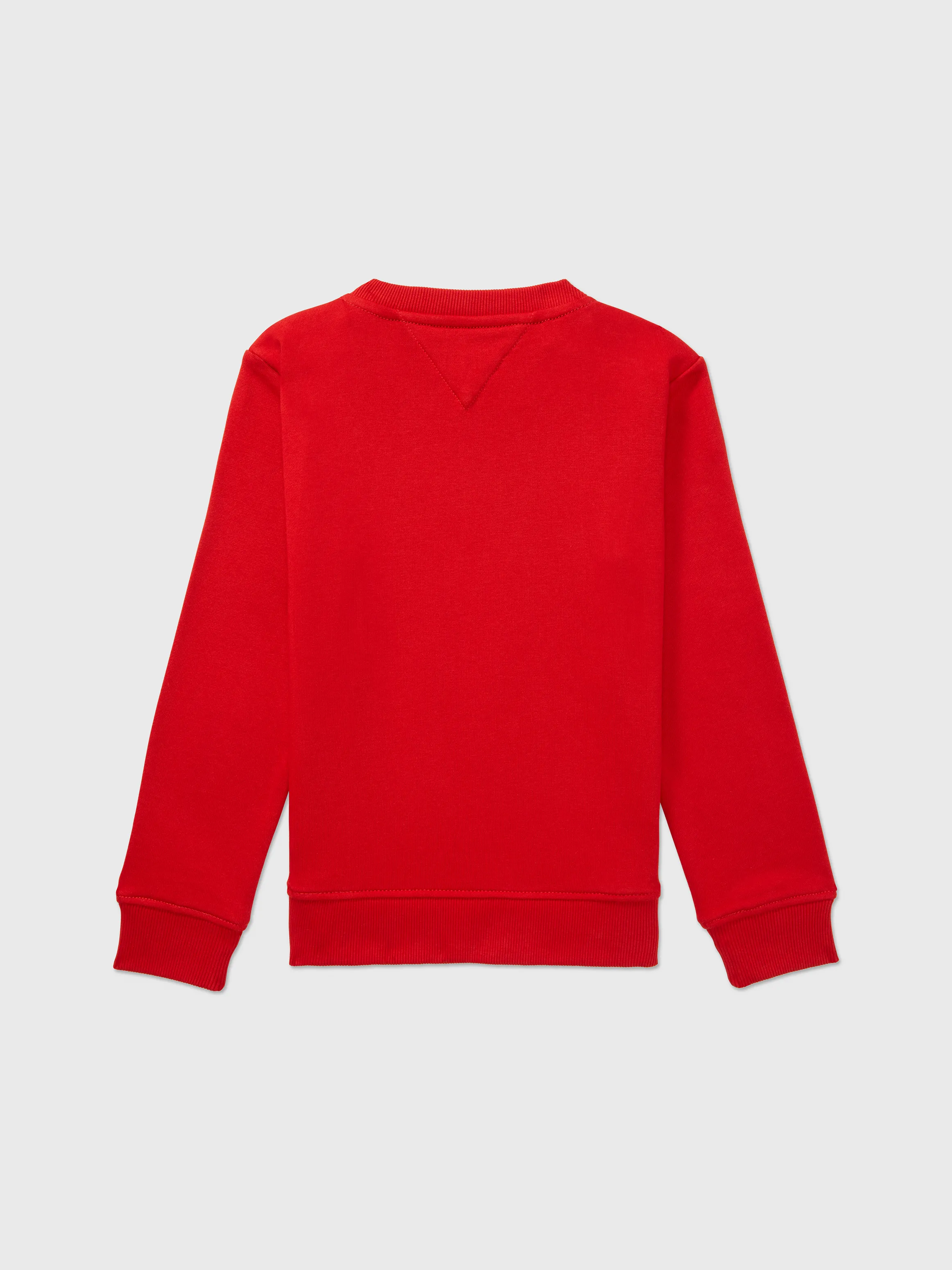 Adaptive Boys Classic Sweatshirt | Adaptive Sweatshirts & Hoodies | Tommy Adaptive