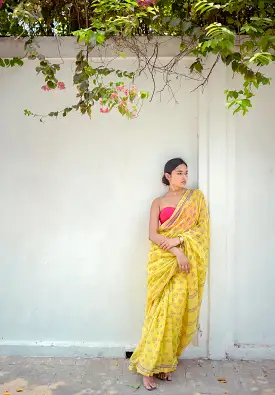 KaisorI Malhar Geru  Kota blockprinted cotton silk saree