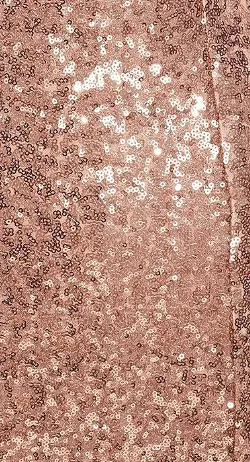 Rose Gold Sequin Maxi Dress